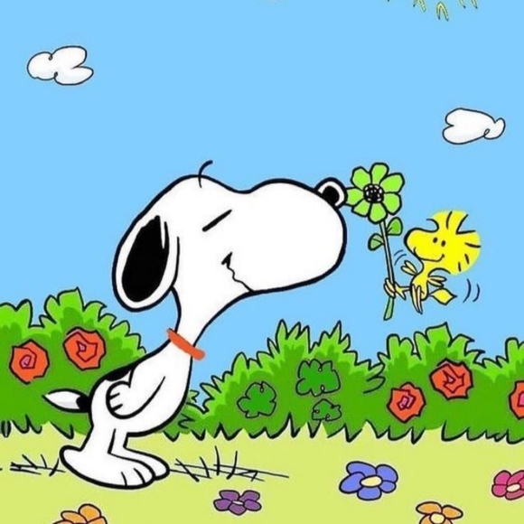 Let's hang out Wed! My place! Low Starting Bids! Some Items not in my Closet! - Picture 5 of 6